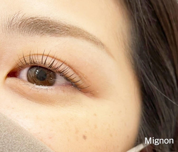 Mignon（ミニョン）